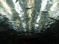 Океанариум Аквариум - Развлекательный центр «Дельфин»